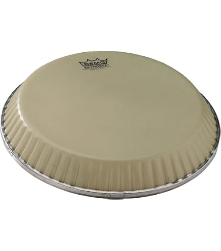 Amazon.com: Remo Nuskyn N3-3032-00 32