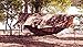 ENO Eagles Nest Outfitters - Camo ProFly Rain Tarp, Ultimate Hammock Accessory, Forest Camo