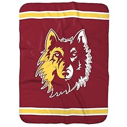 Northern State University Primary Logo Stripes