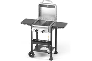 Electactic Propane Gas BBQ Grill 2-Burner Barbecue Grills with Cast Iron Frying Pan and Grates Combo, 16000 BTU Output Stainless Steel Grill for Outdoor Cooking, Patio, Backyard Party