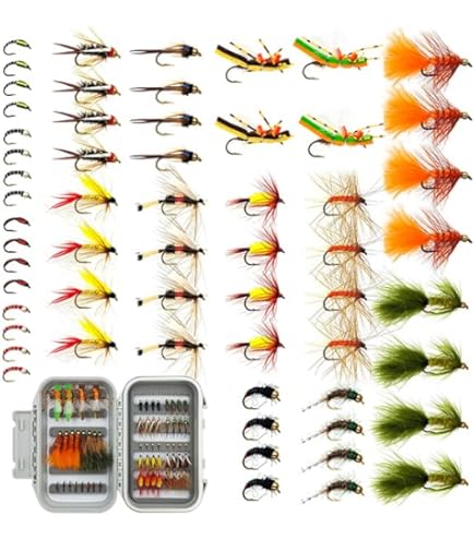 BASSDASH Fly Fishing Flies Kit Fly Assortment Trout Bass Fishing with Fly Box with Dry/Wet Flies, Nymphs, Streamers, Popper : Sports & Outdoors