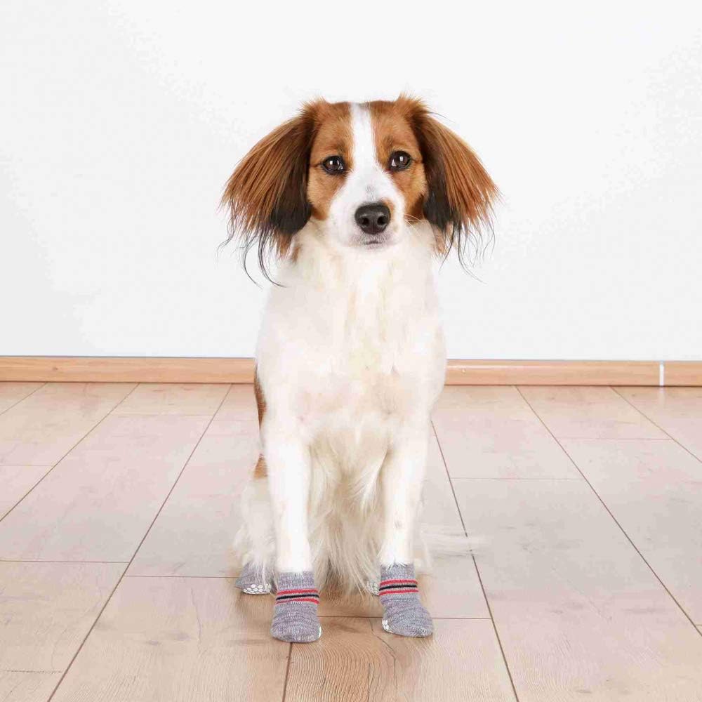 TRIXIE dog socks XL - 6 cm paw width - 16 cm high - non-slip sole - cotton with elastane - washable at 30 °C - grey - 19506 - Image 5