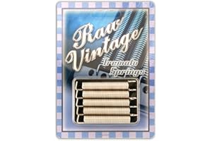 SURPLUS Raw Vintage Electric Guitar Replacement Tremolo Springs Set of 5