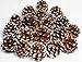 Bag of Snow Tipped Natural Pine Cones for Decorating and Designing-1/2lb.