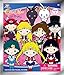 Toei Animation Sailor Moon 3D Collectible Key Ring Blind Bag Novelty Accessories