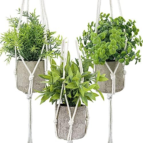 OXSAYTEE 3 Pack Mini Potted Artificial Plants with Plant Hangers, Fake