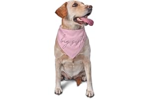 vercosee Promoted to Big Sister Dog Bandana Dog Bandana Gender Reveal Photo Props Accessories im Going to be Big Sister Pet Scarf (Pink)