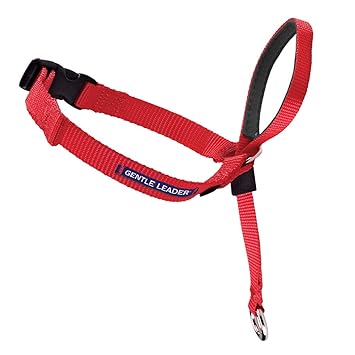 PetSafe Gentle Leader Head Collar with Training DVD, Medium 25-60 LBS, RED