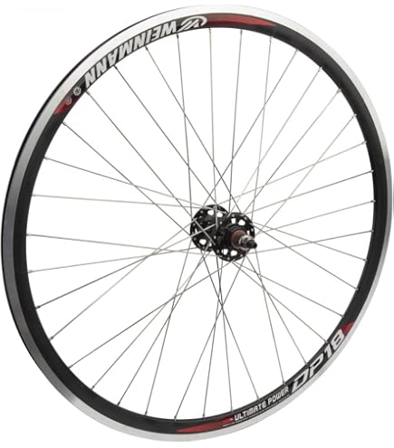 48v750wリアホイールモーター、エンド幅190mm（グラファ750互換性ok Amazon.com : WheelMaster Weinmann DP18 Rear Wheel - 700c, 36H