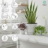 KORAD White with Silver Flecks Indoor Plant Pots 26 cm 10.2 in Drainage view 4