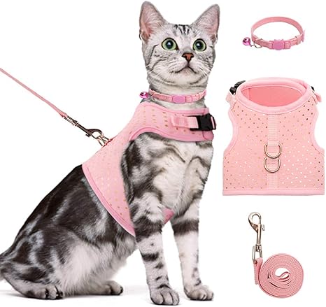 Bingpet Harnais Et Laisse Pour Chat Pour Marcher Anti Fuite Reglable Pour Animaux De Compagnie De Petite Moyenne Et Grande Taille Avec Collier Amazon Fr Animalerie