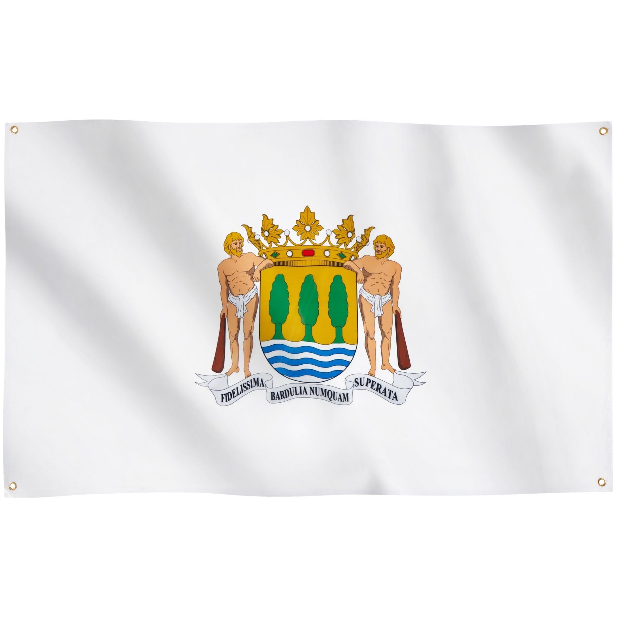 Runesol Gipuzkoa Flag, 91x152cm, 3ft x 5ft, 4 Grommets, Eyelet In Every Corner, Spanish Regional Flag, Guipúzcoa, Basque Country Flag,Premium Flags, Inside, Outside, Banner, Vivid Colours — image 1