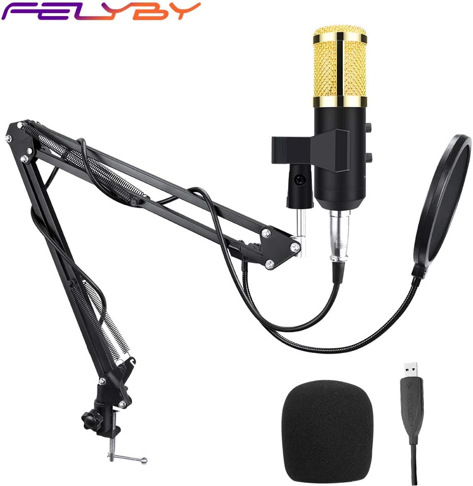 BM-900 Podcast Recording Microphone with Stand Professional Condenser Studio Broadcasting Microphone (BM 900)