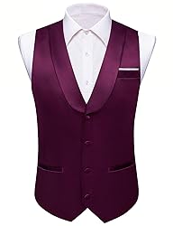 Barry.Wang Mens Dark Purple Vest Formal/Leisure