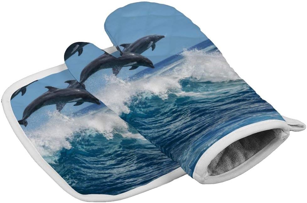 Best Oven Mitts Dolphinsw