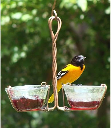 Amazon Com Songbird Essentials Two Cup Jelly Feeder Wild Bird