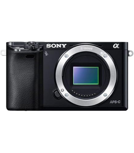 SONY α 6000 美品 Amazon | ソニー α6000 ミラーレスデジタルカメラ 16-50mm パワー