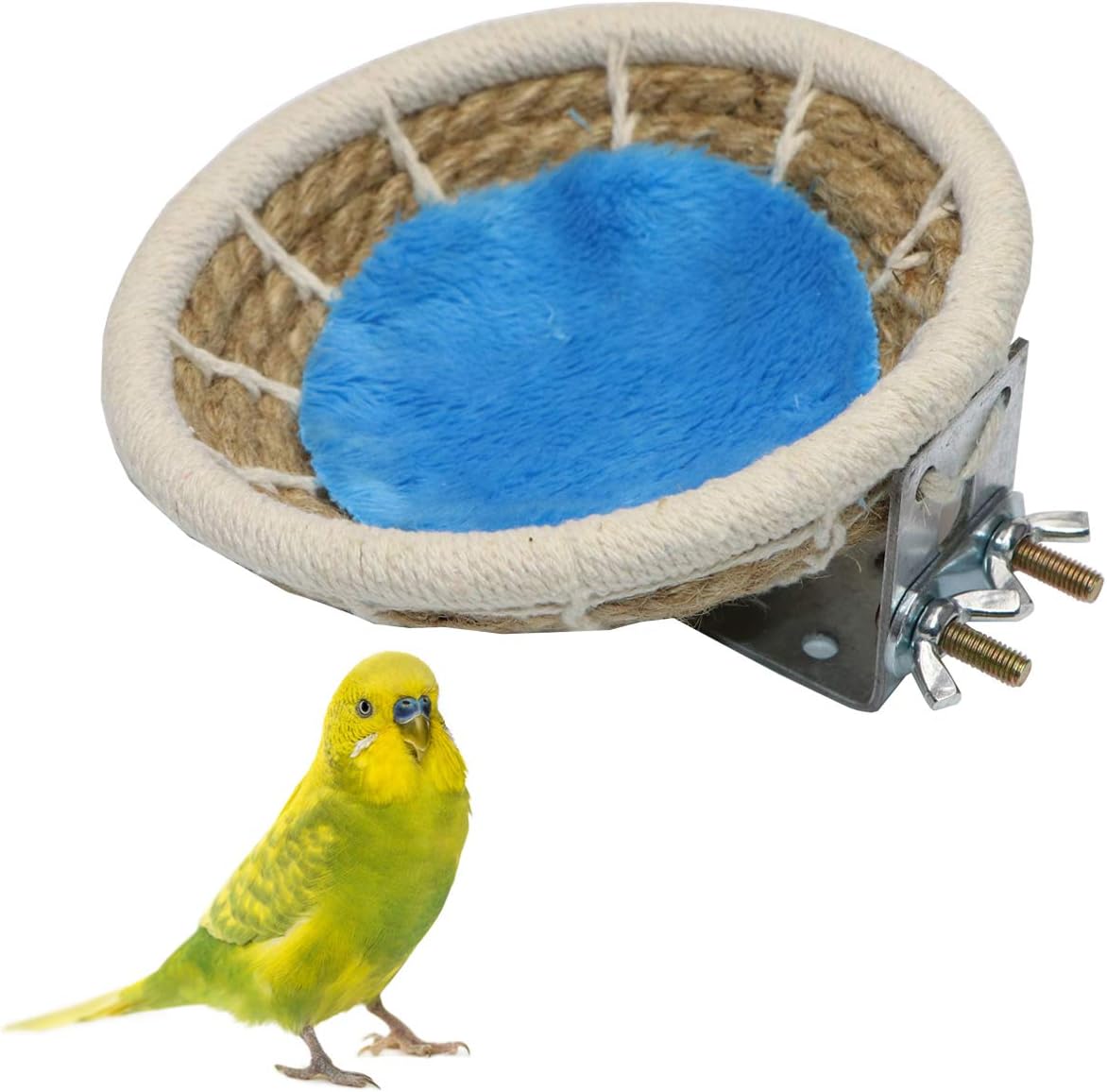 puppies and crate training