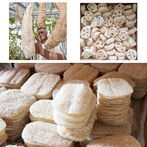 Facial Exfoliating Body Shower Loofah Scrub Brush Sponge Set, Loofah Remove Dead Skin Cleansing Brushes Exfoliating Face Scrubber Makeup Sponges Remover Pad for Women Men AnyBack 4 Pack - Thumbnail 3