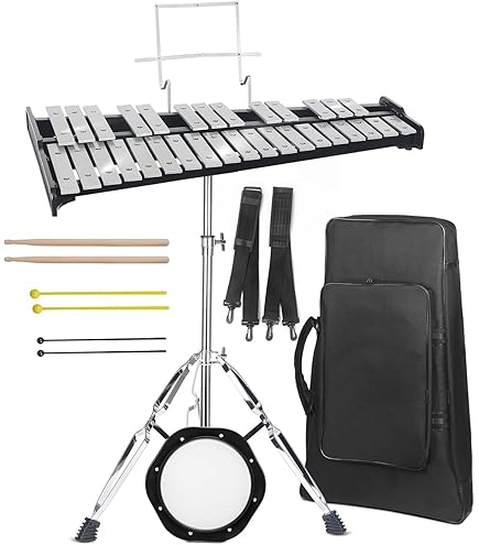 Amazon.com: Studio 49 AGd 2000 Alto Glockenspiel : Musical Instruments