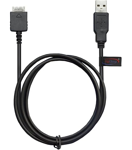 Amazon.com: Sony Walkman NW-E405 Phone Charging USB 2.0 Data