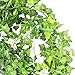 Bird Fiy 84 Ft Fake Ivy Silk Vines Hanging Plants Artificial Flowers Garland Greenery for Wedding Party Decorations DIY Floor Garden Office/Pack of 12
