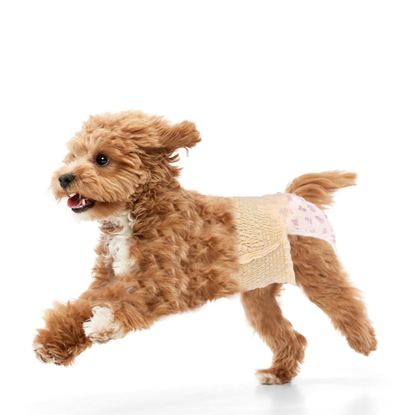 Photo 1 of Ambreview Dog Diapers Female, Disposable Diapers for Female Dog with Stretchy Waist, Pull Up Puppy Wraps for Doggie in Heat Period Super Absorbent Leak-Proof Doggy Diaper for Dogs 10PCS (XS)