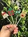 ALISSAR 28-pack Christmas Cupcake Toppers, Glitter Holiday Cake toppers Home Party Decor Christmas Party Supplies Favors