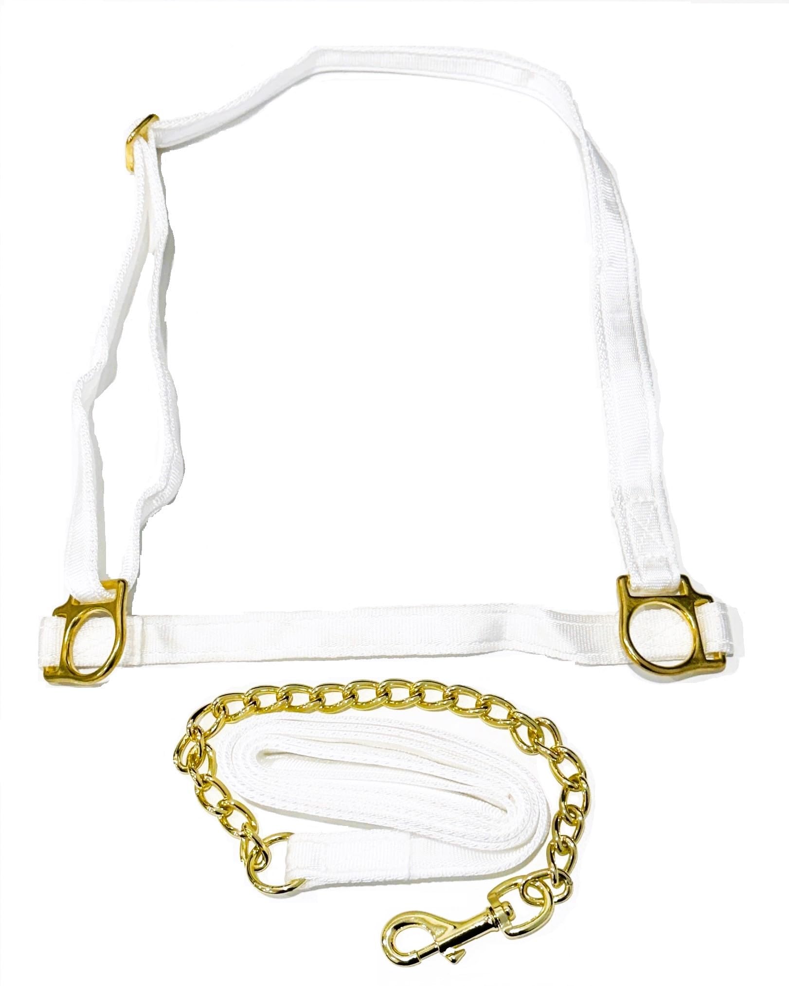 Welsh Show Halter with Chain Lead Rein – White Webbing & Brass Fittings – Adjustable Headcollar for Pony & Cob – Made in the UK (Pony)