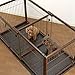 Richell Expandable Pet Crate Divider, Medium, Dark Brown