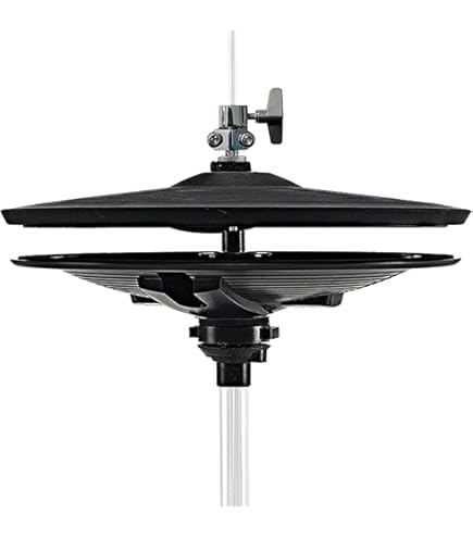 Amazon.com: Roland PD-125 12