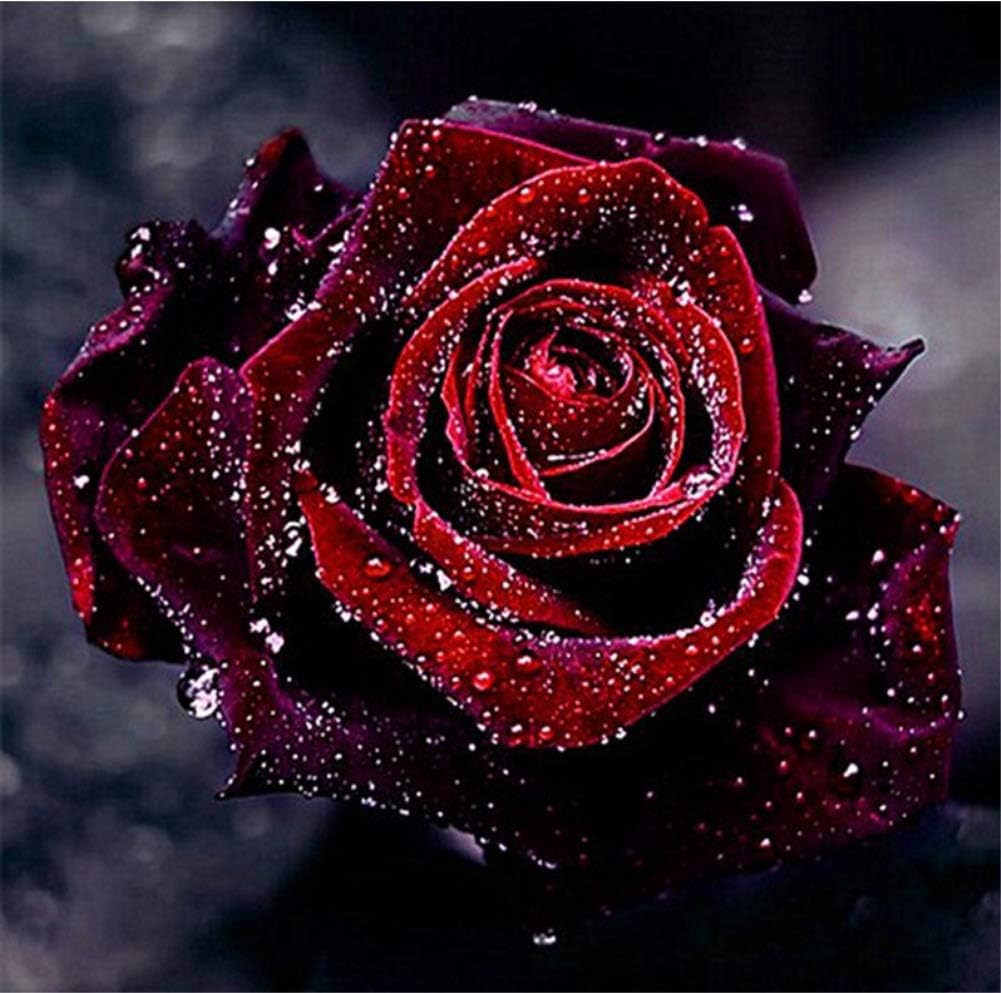 TianMaiGeLun New DIY 5D Diamond Painting Kit Round Resin Diamond Embroidery Rhinestone Painting Pasted Paint by Number Kits Stitch Craft Kit Home Decor Wall Sticker - Morning Dew & Rose, 30x30cm