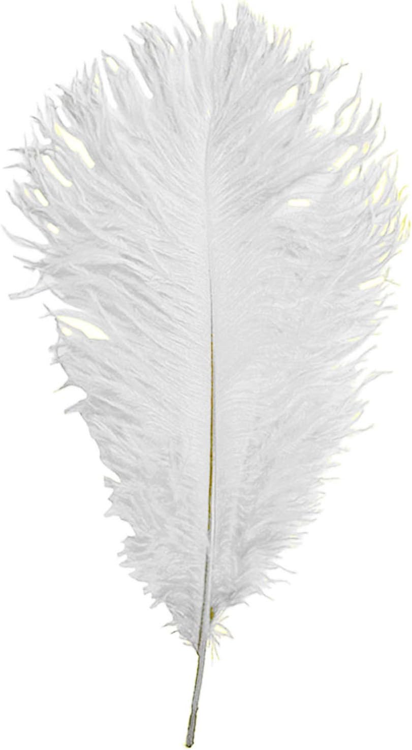 WedDecor White Natural Ostrich Feathers 14-16" (35-40cm) Long for Wedding Centerpieces Home, Decorating Costumes - Image 5