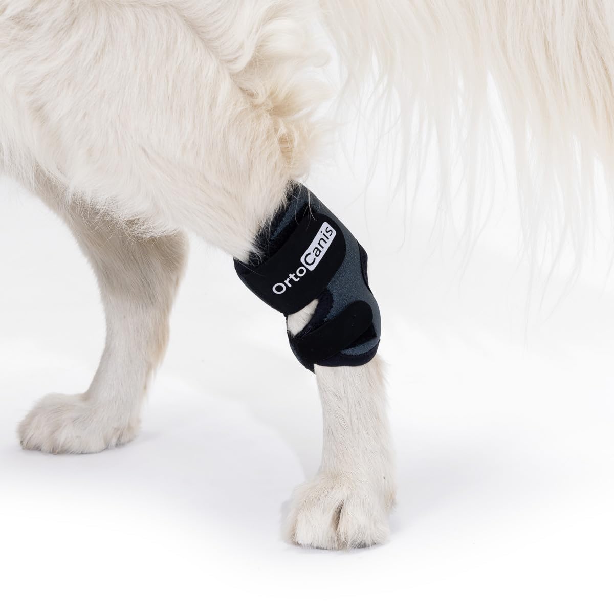 Ortocanis - Tarsal Support for Dog - Ankle Brace for Arthritis, Tarsal and Ligament Injuries, Osteoarthritis, Tendon Inflammations - Made of ARD Neoprene - Size: XSS 7-9 cm - 5.5-7.5 cm