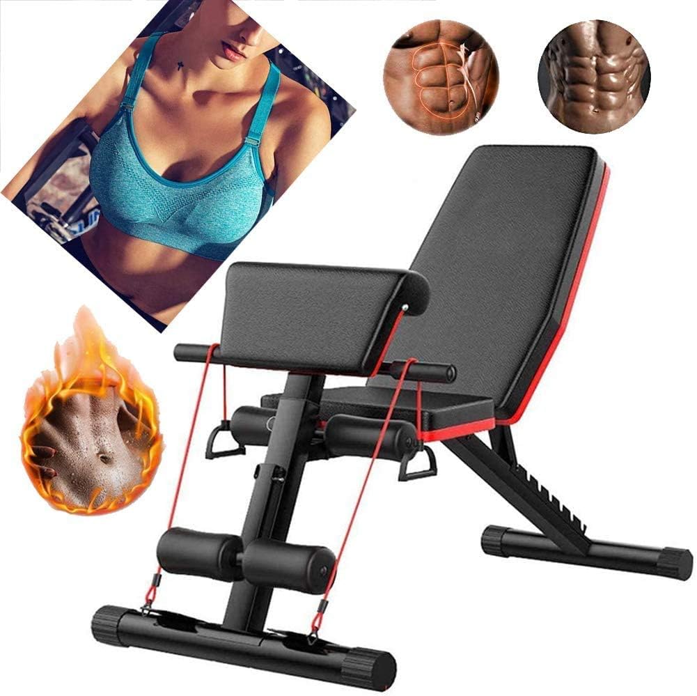 DPLLM Training Bench Adjustable Foldable