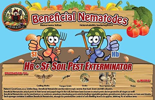 250 Million Live Beneficial Nematodes Hb &amp; Sf - Kills Over 200 Different Species of Soil Dwelling and Wood Boring Insects.
