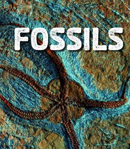 Fossils (Fact Finders: Rocks)
