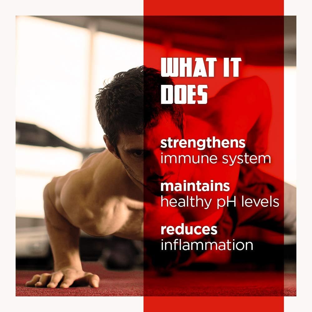 VINTAGE BLOOM Superfood Powder Antioxidant Supplement - 18 Super Greens Ingredients - Immune System Support - Balances pH & Provides Antioxidants - Keto Friendly - Fresh Mint - 30 Servings 120g Powder: Health & Personal Care