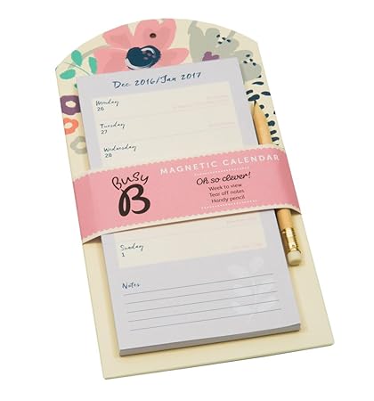 Busy B 2017 calendario magnético: Amazon.es: Oficina y papelería