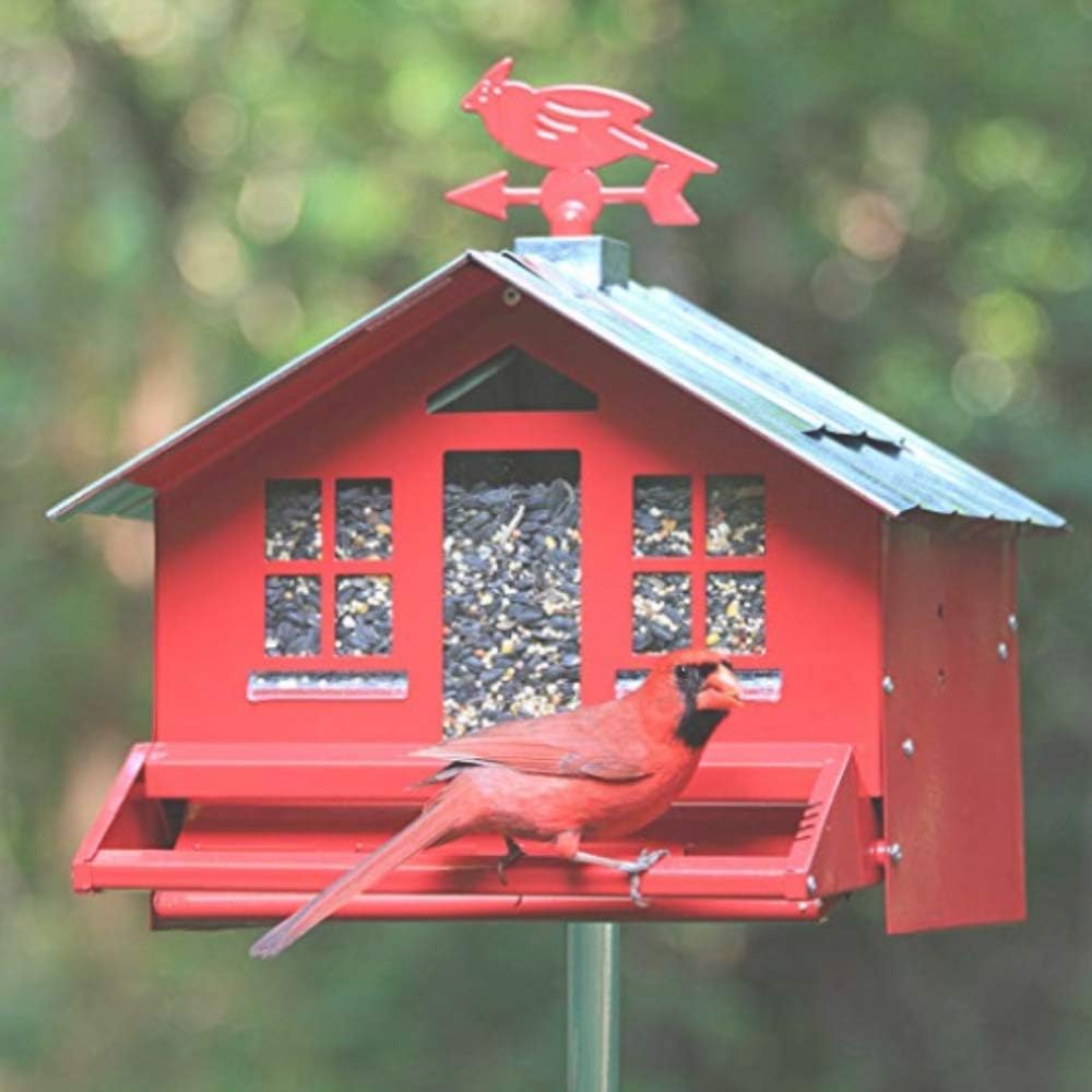 Amazon Com Outdoor Hanging Bird Feeder Premium Quality Red