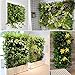 Alloyseed Vertical Wall Garden Planter, 56 Pockets Plant Hanging Bags for Green Field Pot Felt Indoor/Outdoor Wall Mount Balcony Plant Grow Bag for Herbs Vegetables and Flowers (56 Pockets)thumb 2