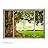 Wall26 - Large Wall Mural - Old Tree and Meadow Seen Through Sliding Glass Doors | 3D Visual Effect Self-Adhesive Vinyl Wallpaper/Removable Modern Decorating Wall Art - 100"x144"