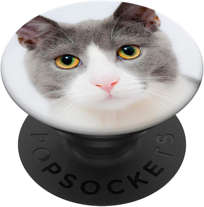 popsockets cat