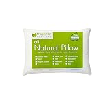 ORGANIC TEXTILES 100% Natural Latex Travel Pillow with Organic Cotton Cover (16 in x 9 in x 6 in) - Great for Airplane, Car, Bus, Train, Camping (Travel - Medium) - Pack of 1