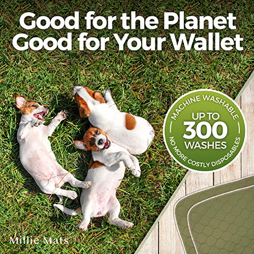 Millie Mats Washable Dog Pee Pads for Puppies, Incontinent & Senior