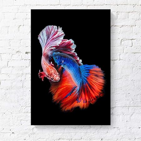 Amazon.de: Leinwandbilder Kinderzimmer Tiere von Tropischen Fischen