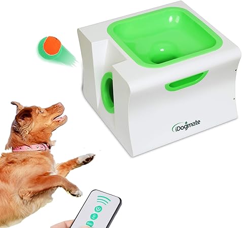 singing baby shark toys uk