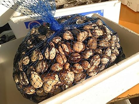 有明産 赤貝 サルボウ貝 ３kg かやの鮮魚店 貝類 通販 Amazon