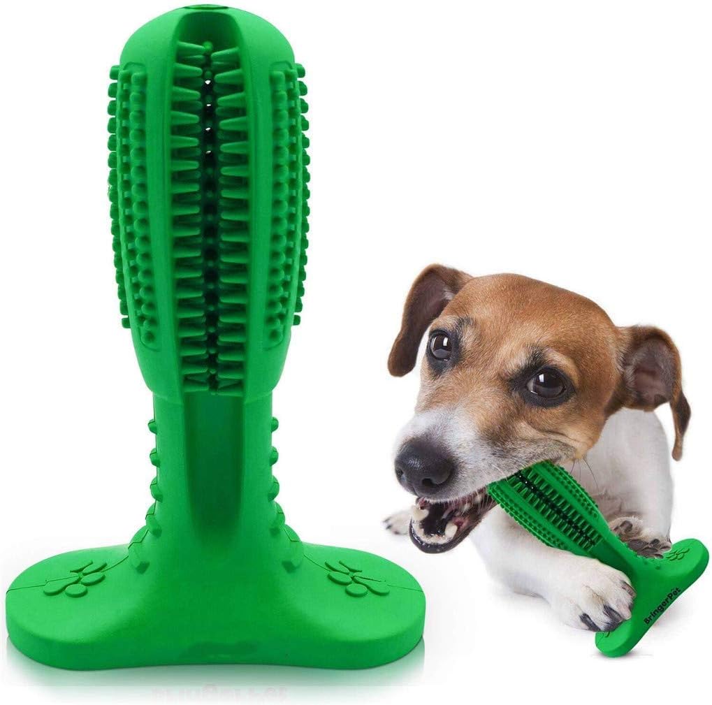 Top 10 Dog Toothbrush Stick Reviews, Features And Buying Guide Paws