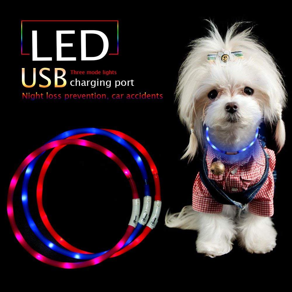 Hunde Leuchthalsband LED Halsband Hundehalsband Hunde, individuell kürzbar, USB aufladbar, Kabel im Lieferumfang enthalten, von Fashion&Cool (Blau)